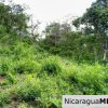 7 Acre View Homesite Minutes to San Juan del Sur Town