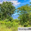 Playa Yankee Triple Ocean View Lot Near One Acre