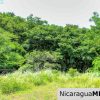 Playa Yankee Triple Ocean View Lot Near One Acre