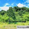 Playa Yankee Triple Ocean View Lot Near One Acre