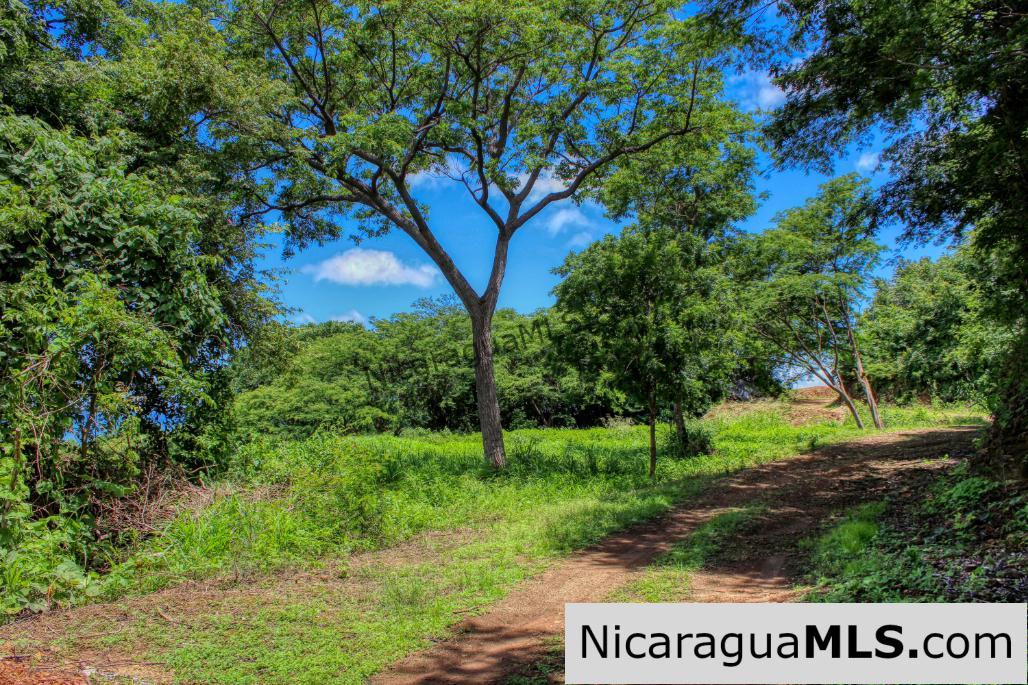 Playa Yankee Panoramic Ocean View Lot 57 San Juan del Sur