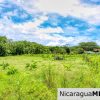 Pastoral Near Acre with New Casita House Near Playa Maderas