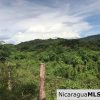 Flat Two Manzana Lot with Great Potential in Las Delicias