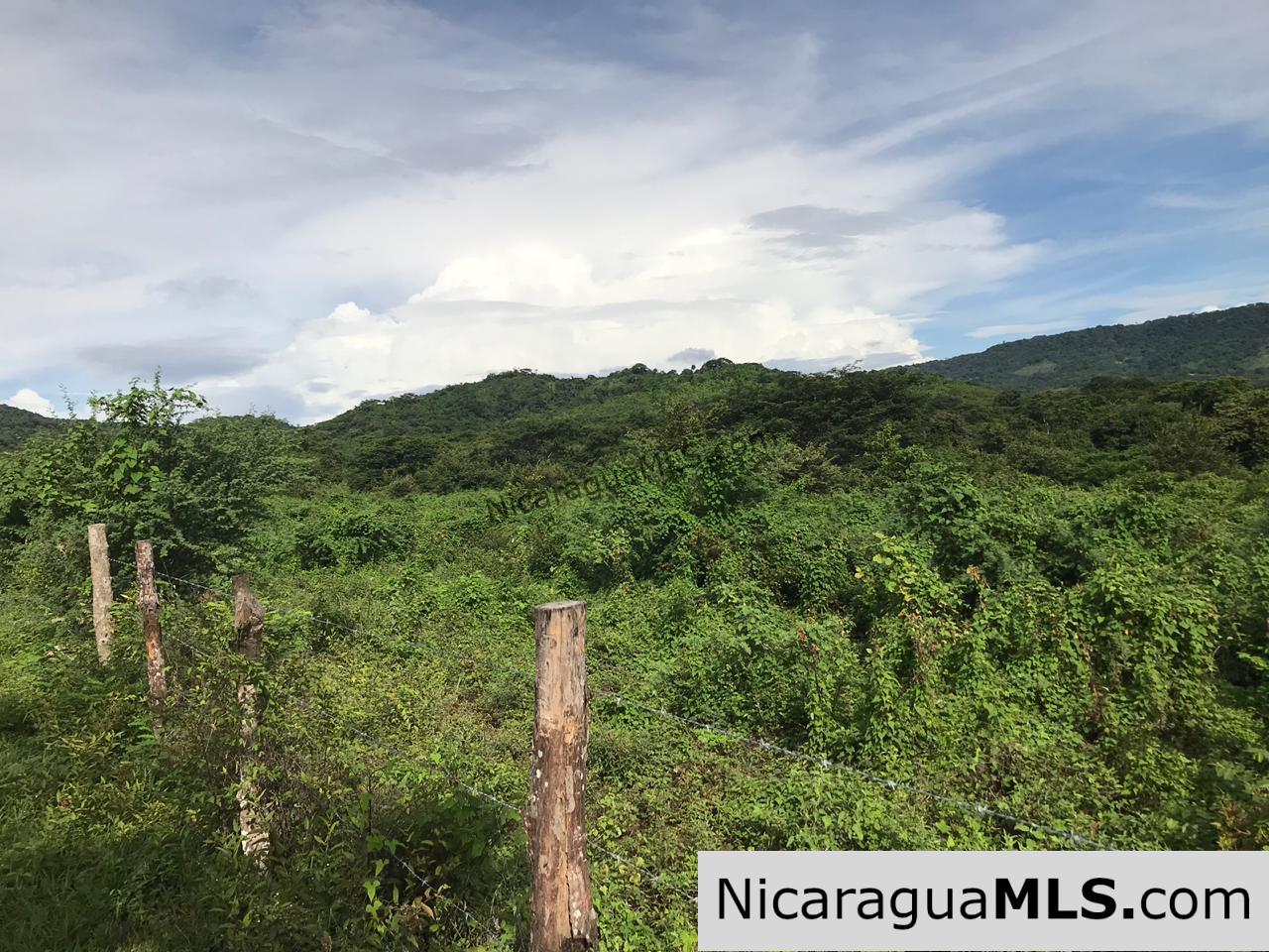 Flat Two Manzana Lot with Great Potential in Las Delicias