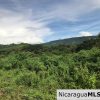 Flat Two Manzana Lot with Great Potential in Las Delicias