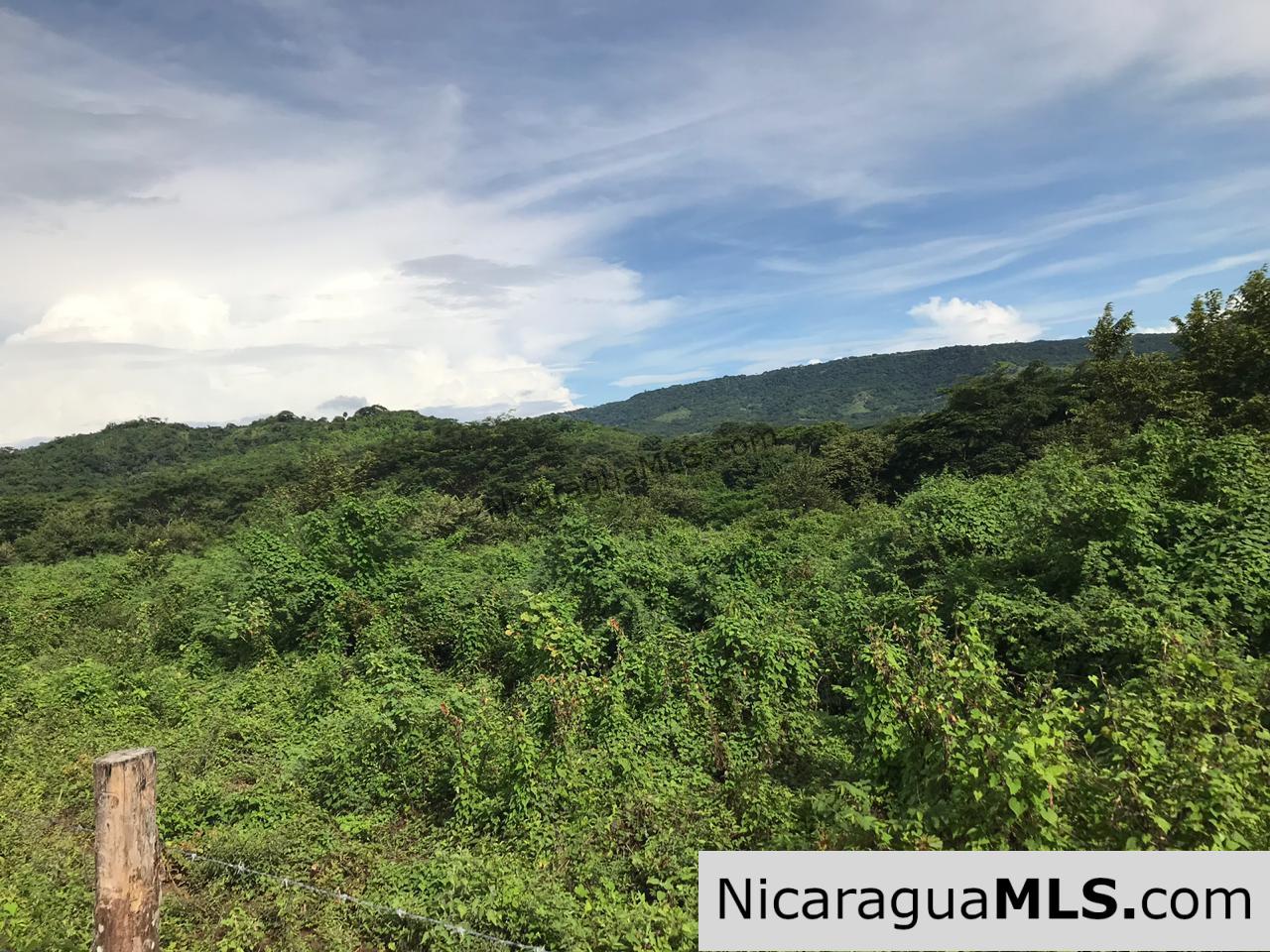 Flat Two Manzana Lot with Great Potential in Las Delicias