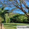 Talanguera Townhomes Garden Level Studio #302
