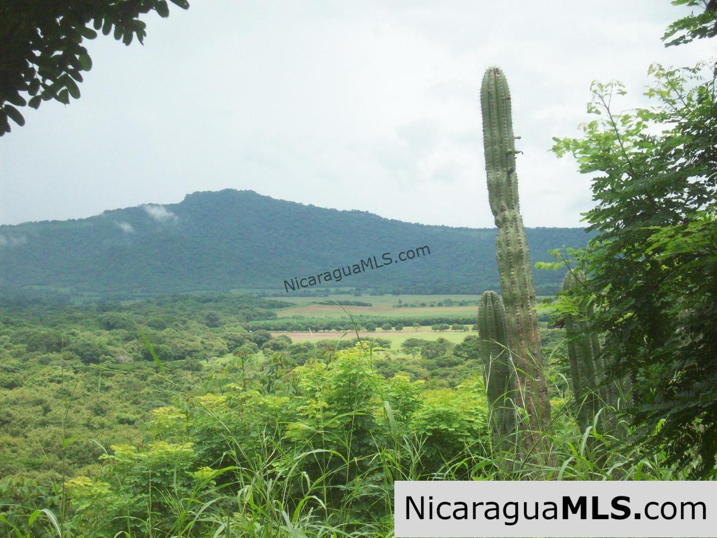 Affordable Lot with Access to Private, World-class Surf Break