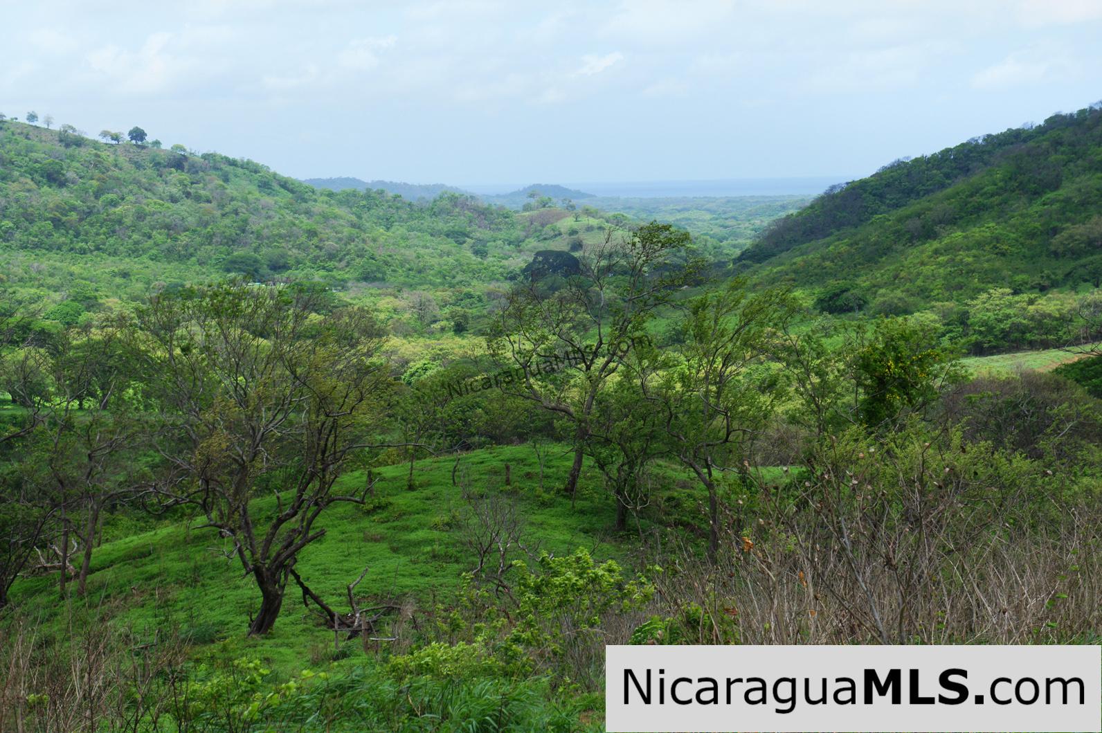80 Acre Ranch on Paved Road with Ocean Views