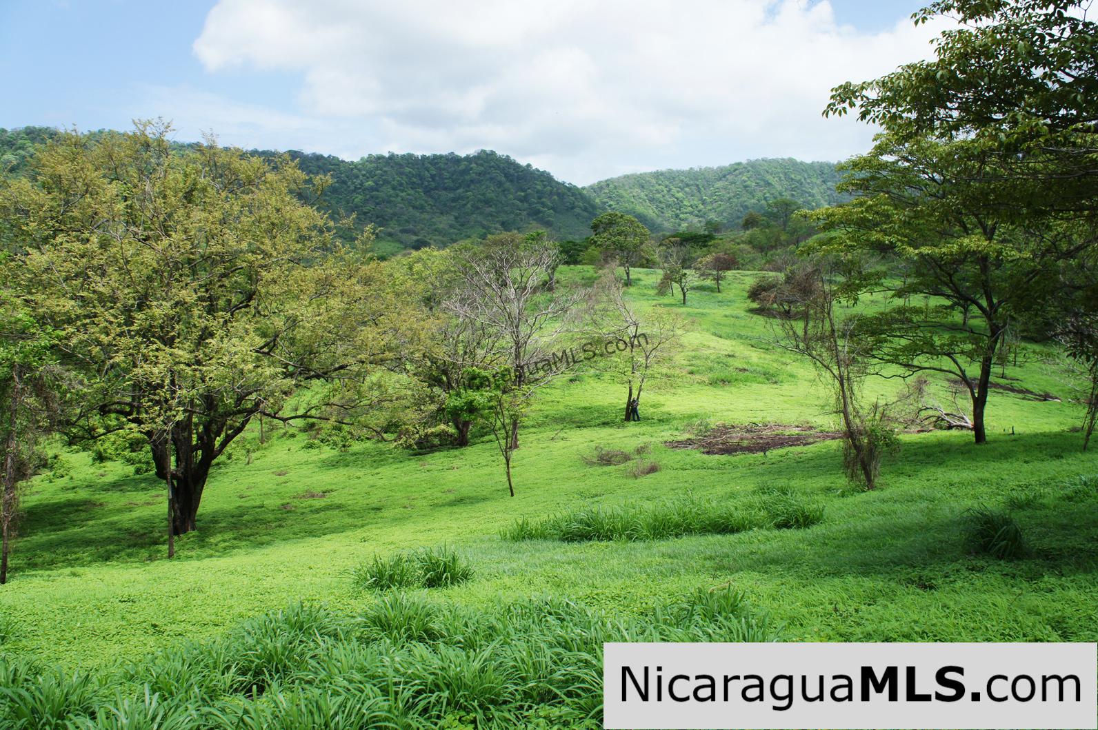 80 Acre Ranch on Paved Road with Ocean Views