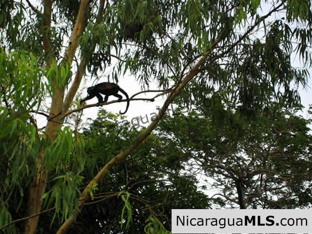 Existing Coastal Development Project for Sale