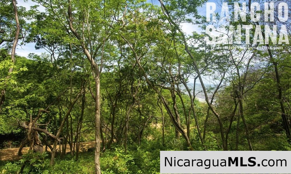 Reduced Price Land at Rancho Santana with Easy Beach Access
