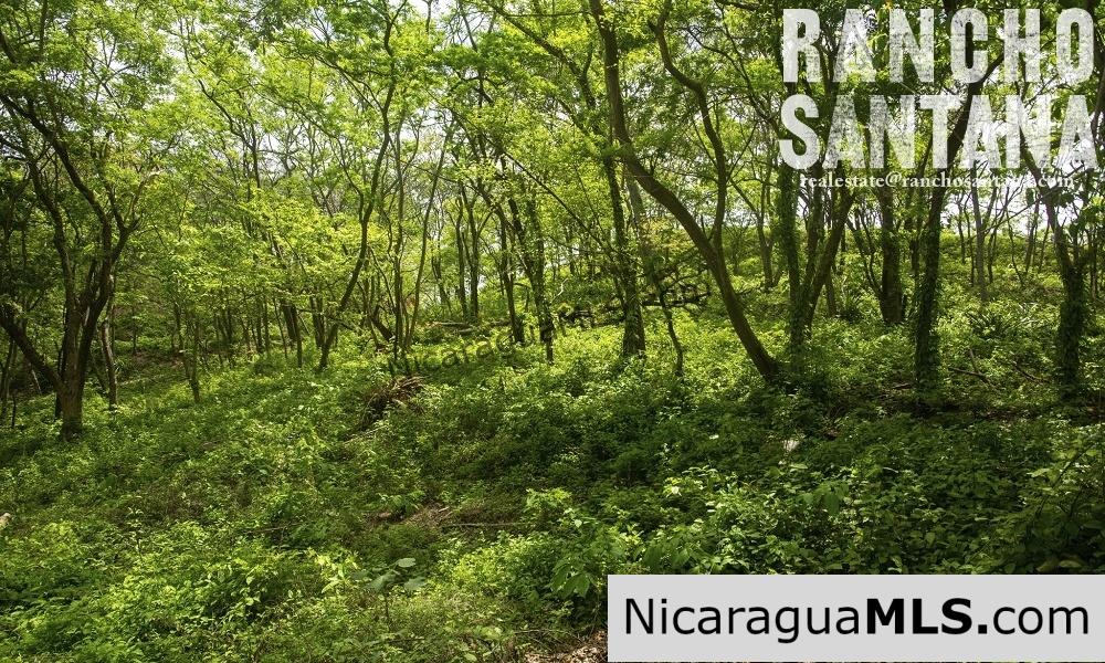 Reduced Price Land at Rancho Santana with Easy Beach Access