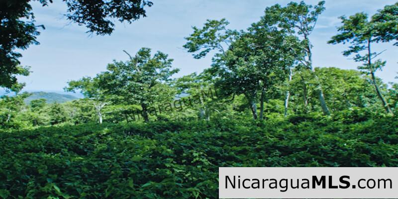 Las Mesas Lots Available in El Encanto del Sur Development, San Juan del Sur-Nicaragua