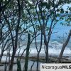 Costa Dulce Beachfront Lot B16