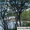 Costa Dulce Beachfront Lot B16