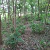 580 acres in el Valle, San Juan del Sur