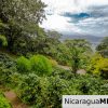 4 Bedrooms house, Mona Gaia in Mombacho, Granada.